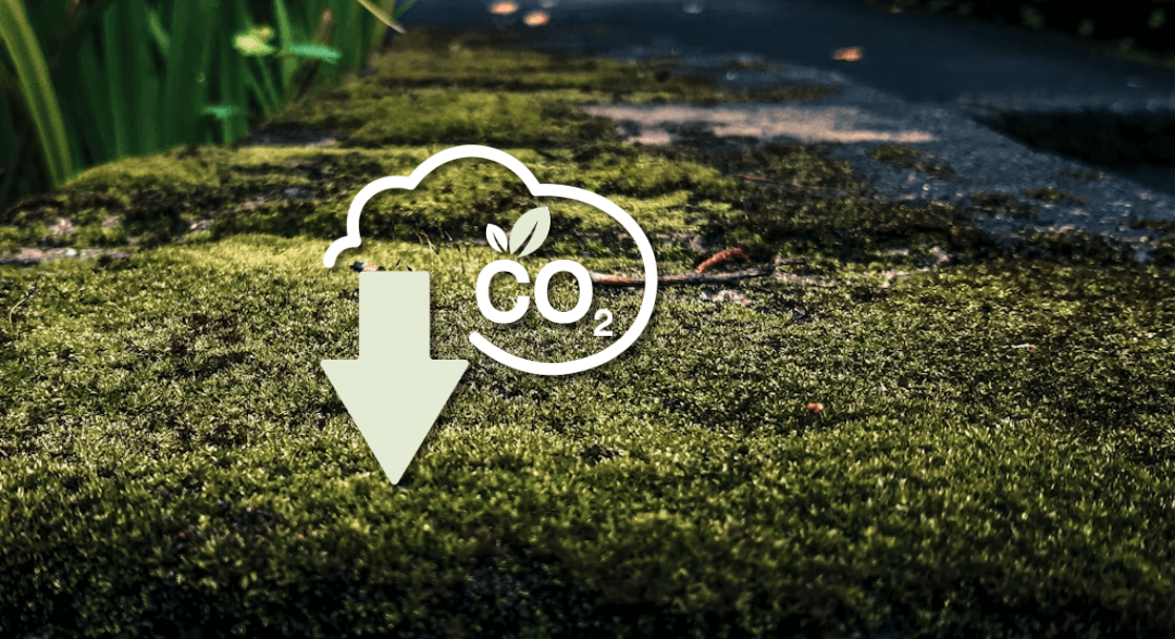 Venta de bonos de carbono certificados